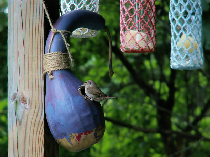 Inspired Upcycling: Discover Hidden Value in Everyday Discarded Objects